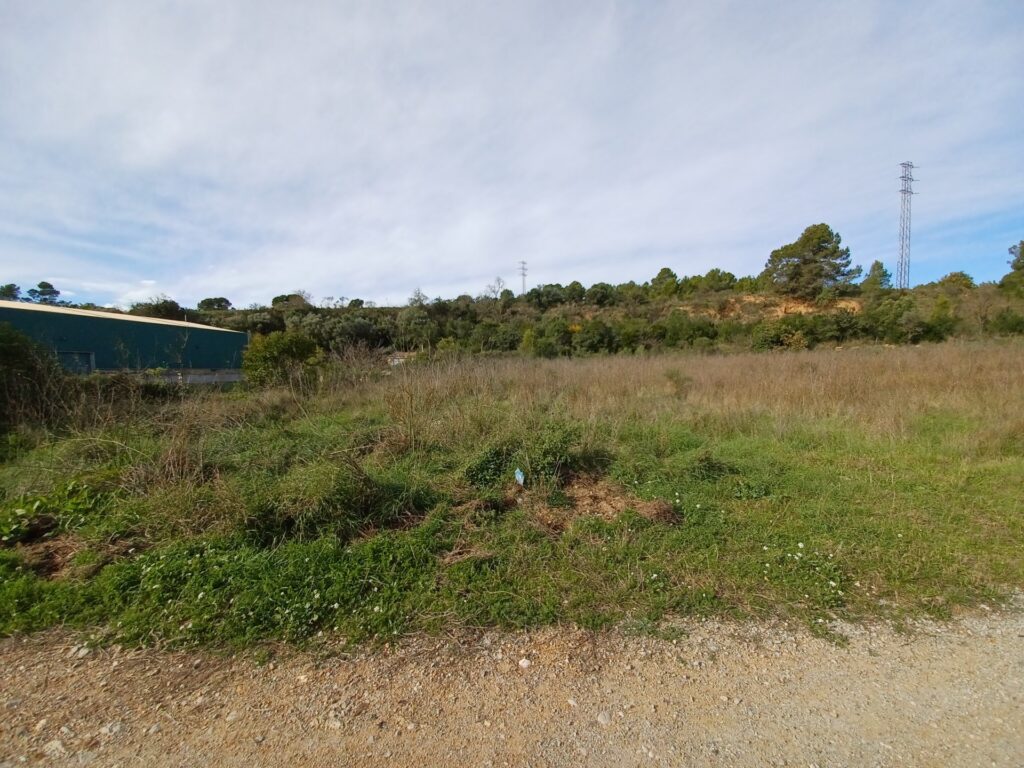 ¡Terreny rústic de lloguer a Rubí, 8.773 m2 cultivables, ideal per a projectes agrícoles!