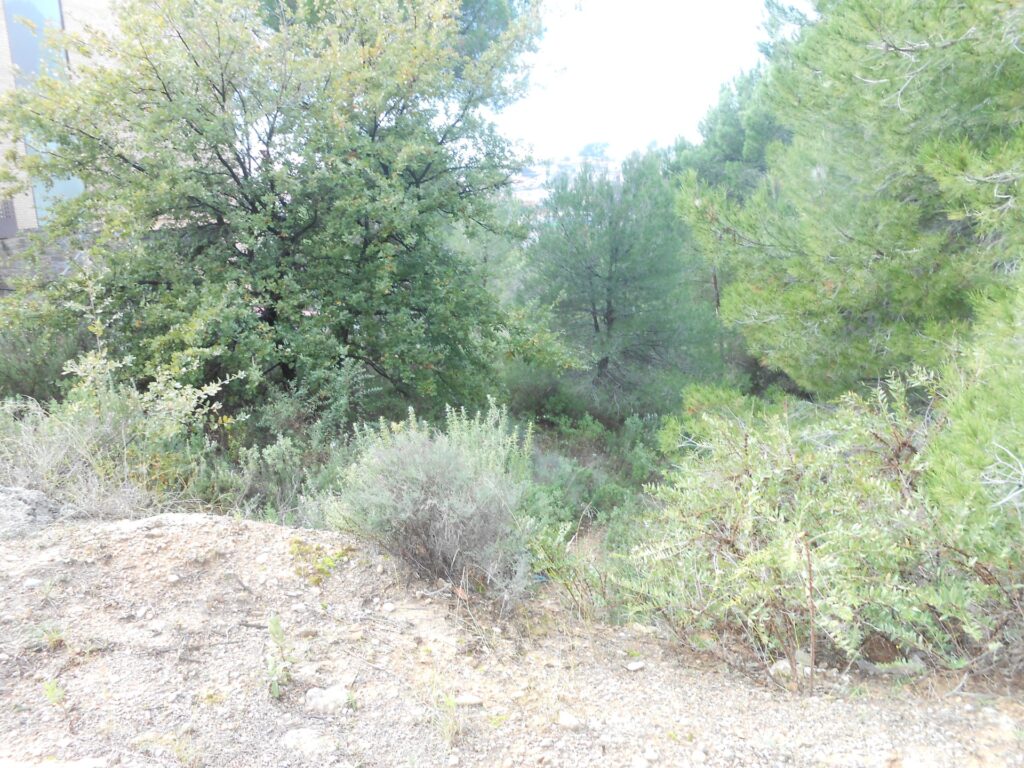 Oportunitat única a Rubí! Es presenta a la venda un terreny urbanitzable a la tranquil·la i sol·licitada zona de CAN SOLA. Aquest terreny, amb una superfície total de 530 m2, ofereix un ampli ventall de possibilitats per a aquells interessats a construir la seva llar en un entorn tranquil i ben comunicat.