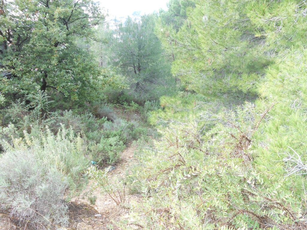Oportunitat única a Rubí! Es presenta a la venda un terreny urbanitzable a la tranquil·la i sol·licitada zona de CAN SOLA. Aquest terreny, amb una superfície total de 530 m2, ofereix un ampli ventall de possibilitats per a aquells interessats a construir la seva llar en un entorn tranquil i ben comunicat.